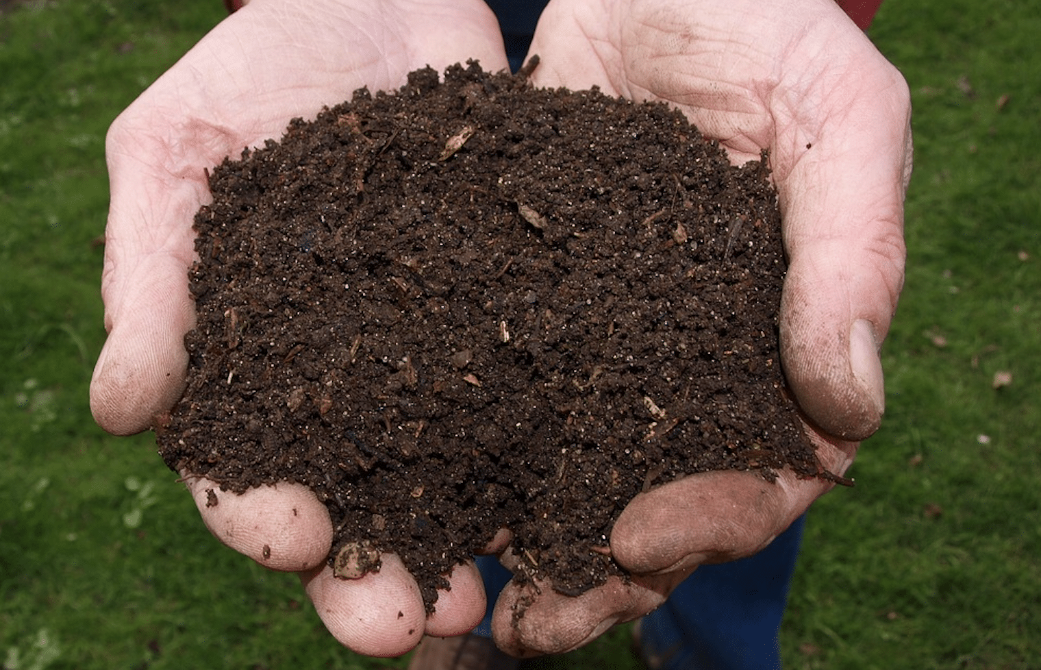 Soil Cultivation and Overgrazing